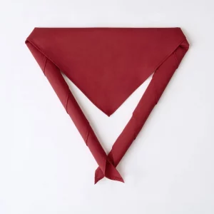 Group Scarf - Large (Scout / Adult)